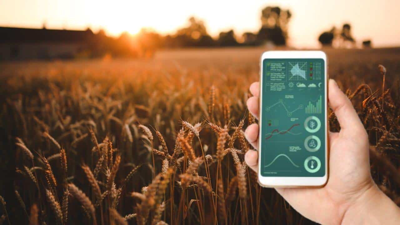 How AI is Transforming Agriculture