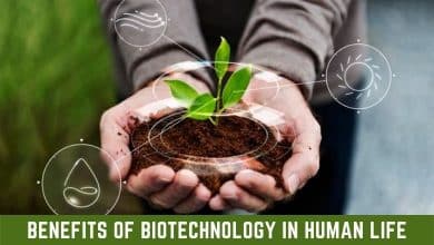 Benefits of Biotechnology in Human life