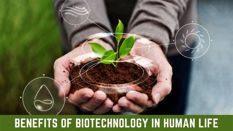 importance of biotechnology in agriculture