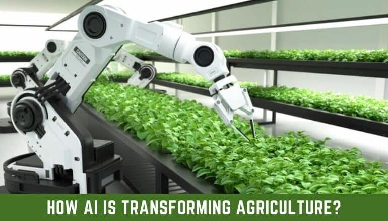 How AI is Transforming Agriculture?