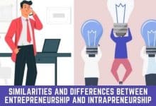 Similarities and Differences Between Entrepreneurship and Intrapreneurship